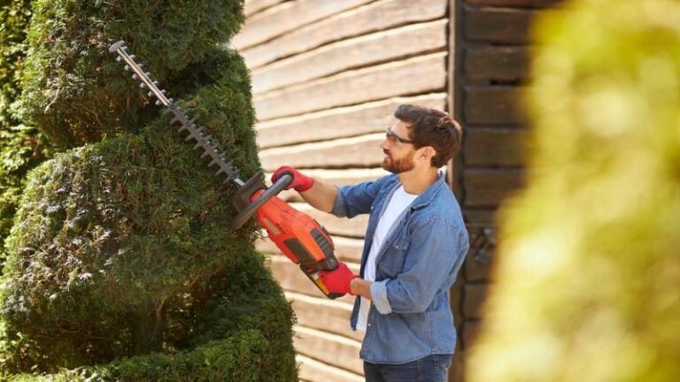 7 Best Tree Trimming And Pruning Companies In Pensacola, Florida